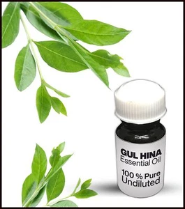 Gul Hina Essential Oil 100% Pure Undiluted (10ML-500ML) - Picture 1 of 1