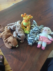 TY beanie babies a lot of 5 Lambie Bucky Canyon Blizzard Giraffi - Picture 1 of 6
