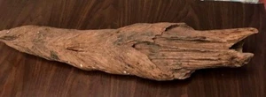vintage TERRARIUM WOOD (VERY LARGE 27" & FUNKY SHAPED) REPTILE aquarium PHALLIC - Picture 1 of 11