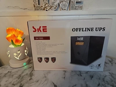 Fuente de alimentación de respaldo y protector contra sobretensiones de batería sin conexión 1500VA/900W Foto 1 de 4