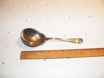 Cazuela/cuchara para servir bayas WM ROGERS 1908 plateada Foto 1 de 4