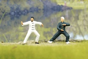 ED 1:64 Painted Figure Model Miniature  Diorama  Tai Chi Sport Exercise - Picture 1 of 9