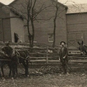 Horses Farm Family Barn RPPC Photo Postcard - Picture 1 of 3