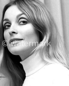 Sharon Tate Vintage ⭐Hollywood⭐ 1960s - 8X10 PUBLICITY PHOTO - Celebrities - Picture 1 of 1