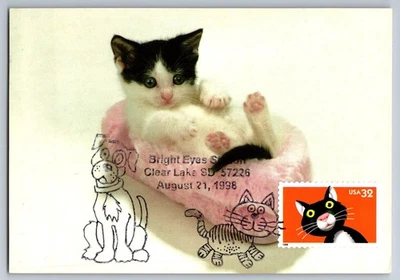 #3232 Bright Eyes Cat FDC Maxi Card - Image 1 of 2