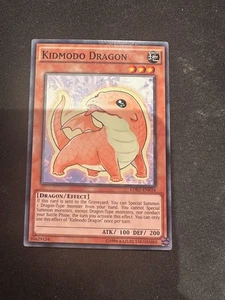 Kidmodo Dragon - LDK2-ENK16 - Común N/M - Imagen 1 de 1