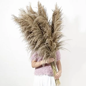 9 Stems Pampas Grass Decor Tall 48''/4 FT, Long Fluffy Dried Pompas Grass, La... - Picture 1 of 6