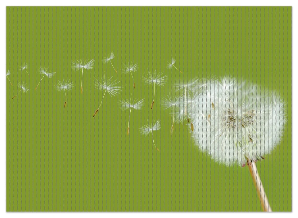 Wallario Duschmatte Bad Teppich Vorleger Pusteblume Wiese fliegenden Samen  Wind - Bild 1 von 1