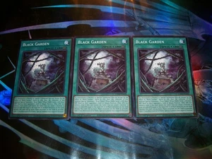 3x Jardín Negro 1ª Edición Común L5DD-ENA18 Yu-Gi-Oh! - Imagen 1 de 1