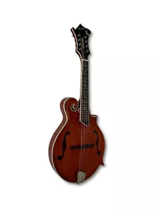Expedited Shipping:Hand Carved Solid Spruce Top F Style Mandolins,Tool & Gig Bag - Picture 1 of 17