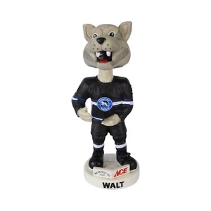 Wenatchee Washington Wild Hockey Bchl Walt Bobblehead Collectors 9th Edition Box - Picture 1 of 24