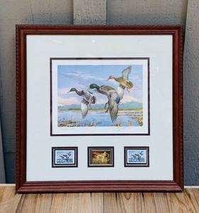 Georgia 1986 Waterfowl Conservation Stamp Print Jim Killen Signed Gold Framed - Picture 1 of 12