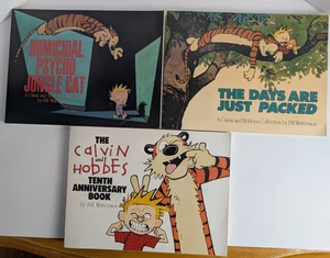 Calvin and Hobbes Homicidal Psycho, The Days Are Just Packed, Tenth Anniversary - Foto 1 di 23