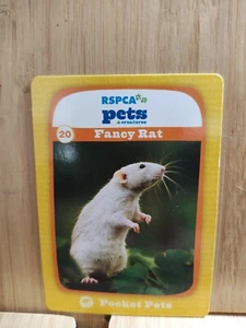 RSPCA Pets ๐ #20 FANCY RAT Trading Card ๐FREE POST - Picture 1 of 1