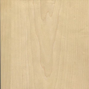 24 In. X 96 In. White Maple Real Wood Veneer with 10 Mil Paperback - Picture 1 of 12