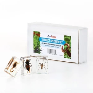 AmScope 3D Muestra de Insecto Real Kit de Ciencia de 3 Piezas - Arácnido Escorpión Araña Avispa - Imagen 1 de 4