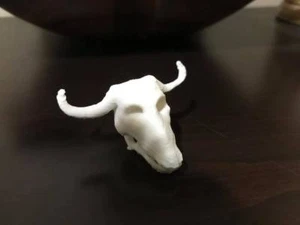 Cráneo de vaca escala 1/6 - Imagen 1 de 7