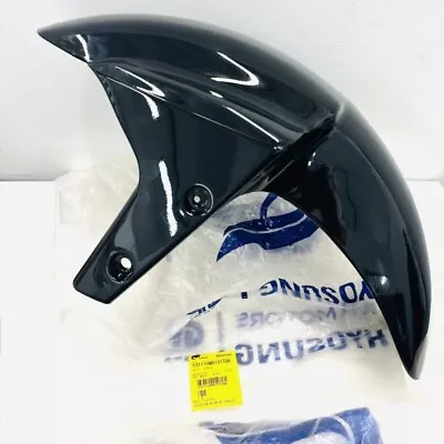Guardabarros delantero Hyosung GT250R GT650R, GT250 GT650 negro desnudo (envío el mismo día) Foto 1 de 3