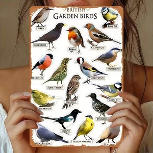 Blechschild Gartenvögel Garten Vögel Vintage Metallschild TE4048 - Bild 1 von 2