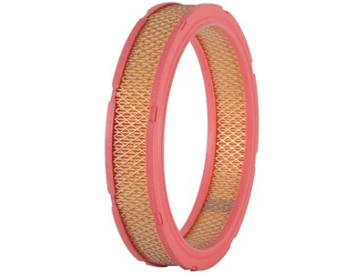 Filtro de aire Mercury Bobcat 1975-1980 Premium Guard 56989TNTF 1976 1977 1978 Foto 1 de 2