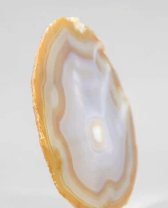 Natural [Unstained] Agate Slice 174mm - Picture 1 of 4