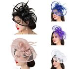 Horse Racing Mesh Feather Headpiece Tea Party Headband  for Women