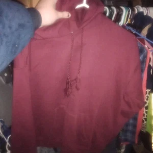 Hanes Ecosmart Mezcla Algodón Granate Rojo Hombre Sudadera con Capucha Pullover M Mediano - Imagen 1 de 4
