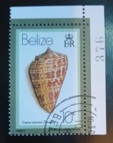Belize 10C 1980 Stamp Used 10 C, Shells With full corner border - stamp Cover