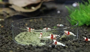 Glass Shrimp and Snails Feeding Dish for Aquarium Shrimp Tank Crystal Red Cherry - Picture 1 of 3