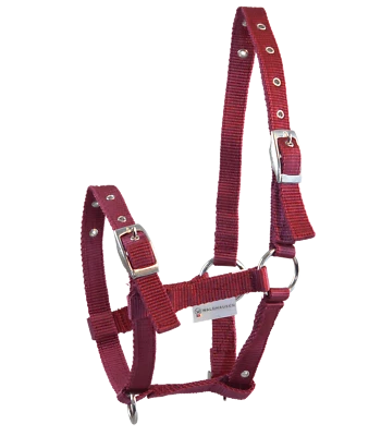 Fohlenhalfter Halfter Stallhalfter Nylonhalfter Mini Shetty weiß weinrot schwarz - Bild 1 von 4