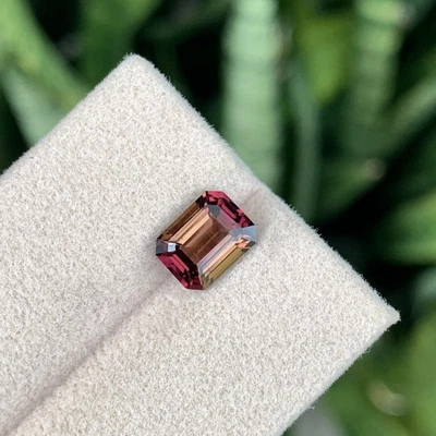 Certifid 1.67 Cts Natural Loupe Clean Tourmaline Bi-Color 8mm Cushion Cut Congo - Image 1 of 4