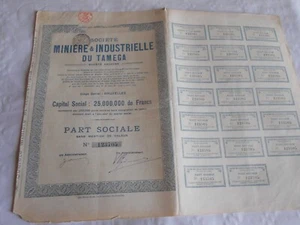 Vintage share certificate Stock Bonds action Industrial Mining Tamega 1925 - Picture 1 of 4