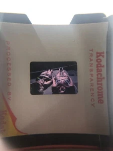 35mm Diapositiva Fotografía Vintage Mujeres en Baño Natación Bikini Tomar el Sol - Imagen 1 de 1