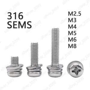 316 Tornillos de acero inoxidable Phillips Pan Cabezal SEMS Lavadoras de resorte plano M2.5-M8 - Imagen 1 de 5