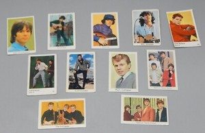Vintage POP MUSIC Dutch TRADING CARD LOT Spencer Davis DONOVAN Cliff Richard + !