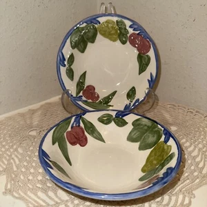 Two Franciscan ORCHARD GLADE Cereal Soup Bowls No Flaws Or Damage 5-7/8" Retired - Picture 1 of 12