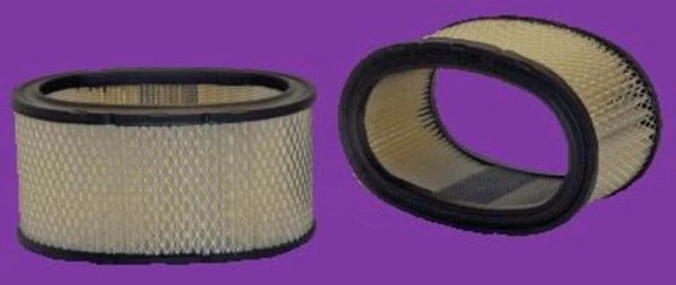 Filtro de aire se adapta a seleccionar: Ford Mustang 1983-1986, Ford Thunderbird 1983-1988 Foto 1 de 1