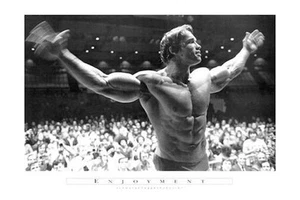 ARNOLD SCHWARZENEGGER ENJOYMENT INSPIRATIONAL POSTER NEW 36x24 FREE SHIP - Picture 1 of 1