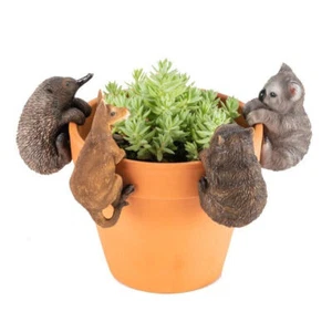 Australian Animals Pot Sitters Huggers Decor koala kangaroo wombat echidna - Picture 1 of 2
