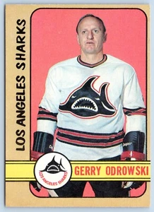 GERRY ODROWSKI 1972-73 O-PEE-CHEE 72-73 #304 NEUWERTIG + 85470 - Bild 1 von 2