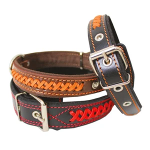 Luxus Leder gepolstertes Hundehalsband. Made in Europe! USA Verkäufer. - Bild 1 von 13