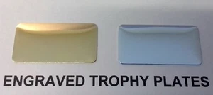 ENGRAVED TROPHY PLAQUE 25mm x 50mm BRASS SILVER self adhesive label Name Plate - Picture 1 of 4