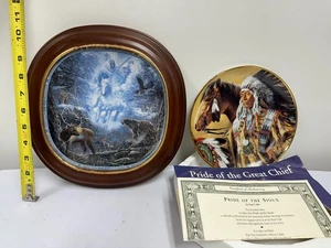LOTE Juego de Placas Coleccionista Orgullo de los Sioux y Snow Rider Indios Nativos Americanos - Imagen 1 de 8