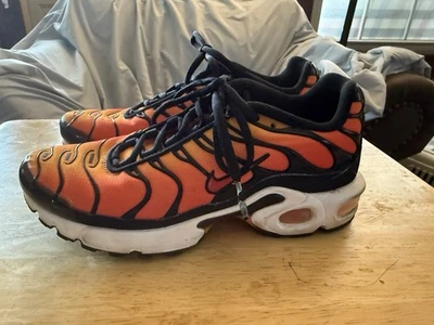 Niños 6Y - Nike Air Max Plus GS “Sunset” Zapato para Correr Foto 1 de 4
