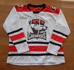 AMG Charlotte Checkers AHL Hockey Jersey Size Large  - Picture 1 of 7