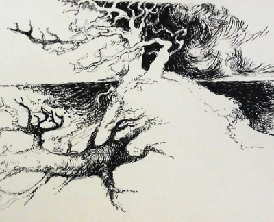 Peter WESTPHAL *1938, Top Lithographie 1971: KNORRIGER BAUM MIT KNORRIGER WURZEL - Bild 1 von 4