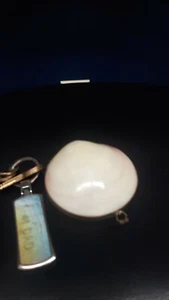 Vintage Clam Shell purse/compact (Beautiful and Unique) - Picture 1 of 3