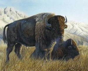 35" Fabric Panel | David Textiles Digital Resting Buffalo Plains Mountain Scene - Picture 1 of 1