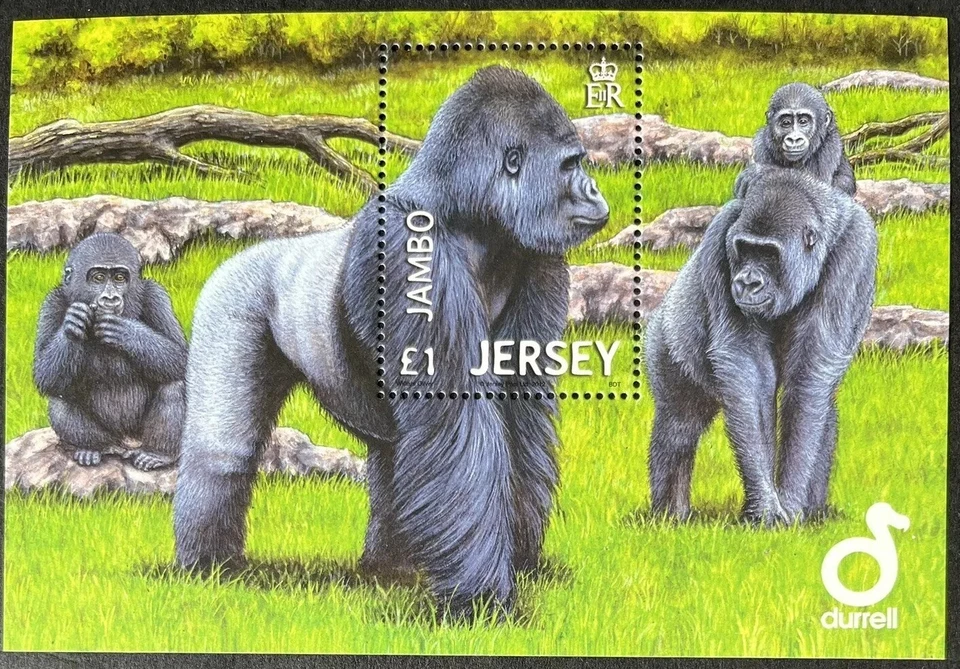 Jersey año 2012 Gorilas ☀ MNH** Foto 1 de 1