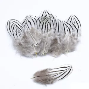 Rare Silver Lady White Feathers 4cm - 8cm Pheasant Fly Craft Hat Arts Costume - Picture 1 of 1